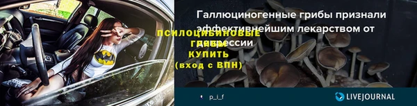 ПСИЛОЦИБИНОВЫЕ ГРИБЫ Алексеевка