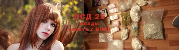 ПСИЛОЦИБИНОВЫЕ ГРИБЫ Алексеевка