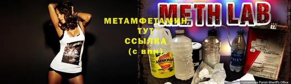 крисы Алексин