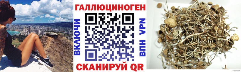 Галлюциногенные грибы GOLDEN TEACHER  Купить закладки  Урус-Мартан 